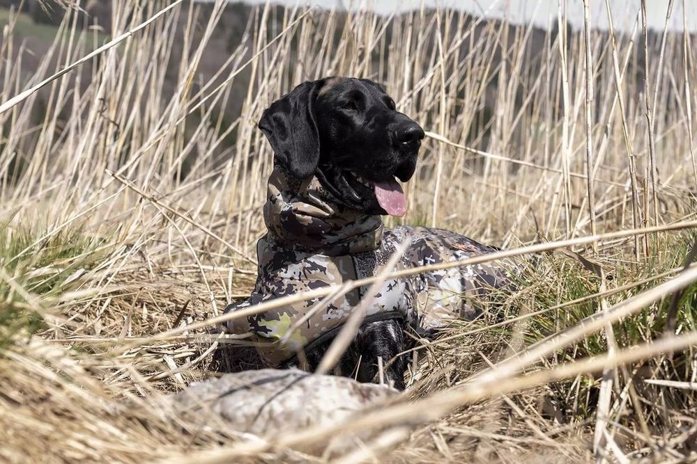 BLASER-Hundeponcho-HunTec-Camo-6 BLASER Hundeponcho HunTec Camo angezogen