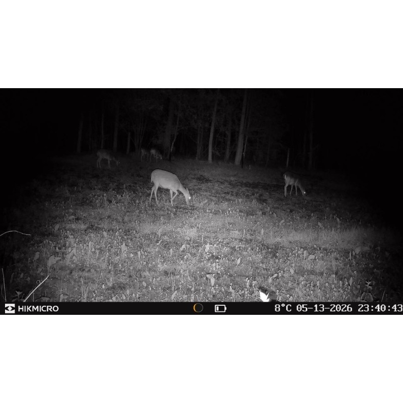 HIKMICRO Wildkamera T16