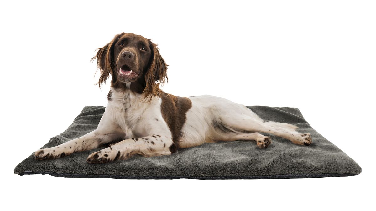 AKAH Thermo Hundebett