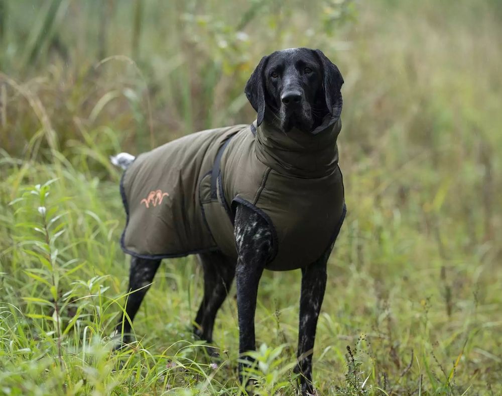 BLASER Hundeponcho oliv angezogen