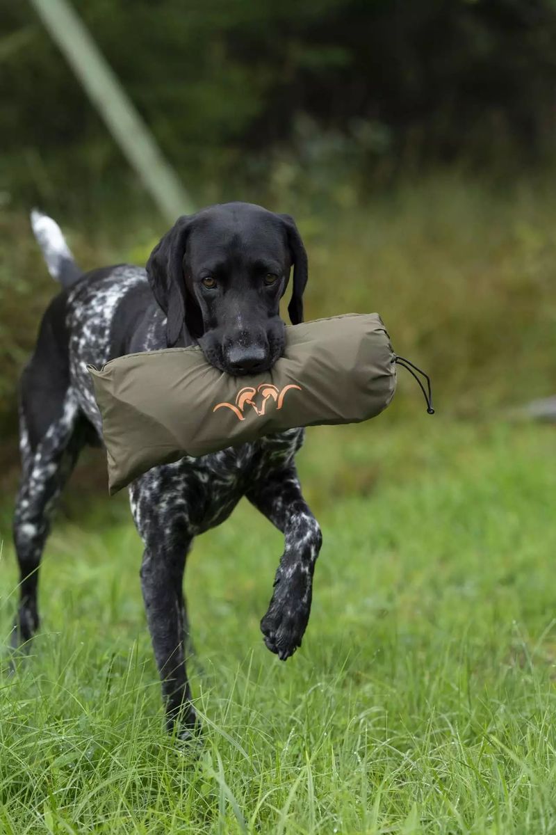 BLASER Hundedecke in dunkel oliv im Revier