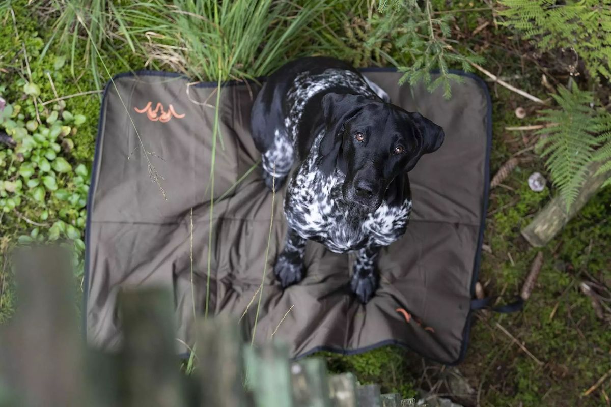 BLASER Hundedecke in dunkel oliv mit Hund